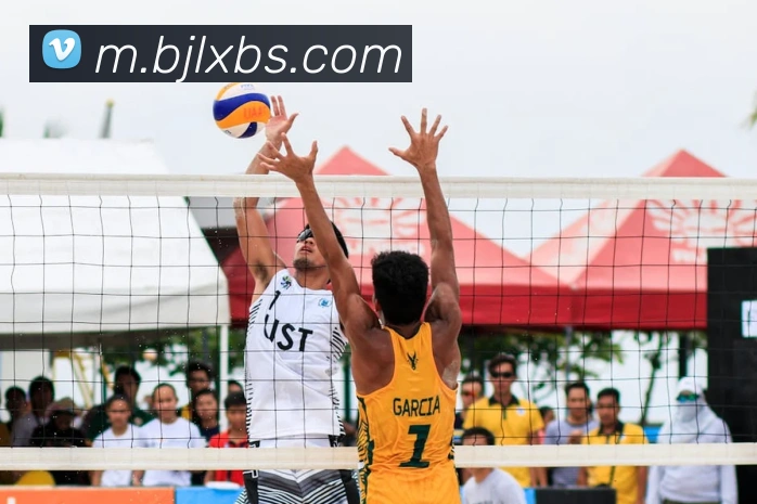 多媒体互动体验